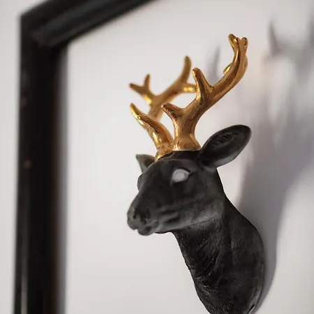 Apartament Main Square & *