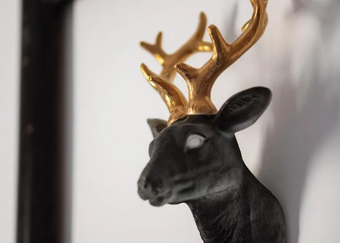 Appartement Main Square Rooms *